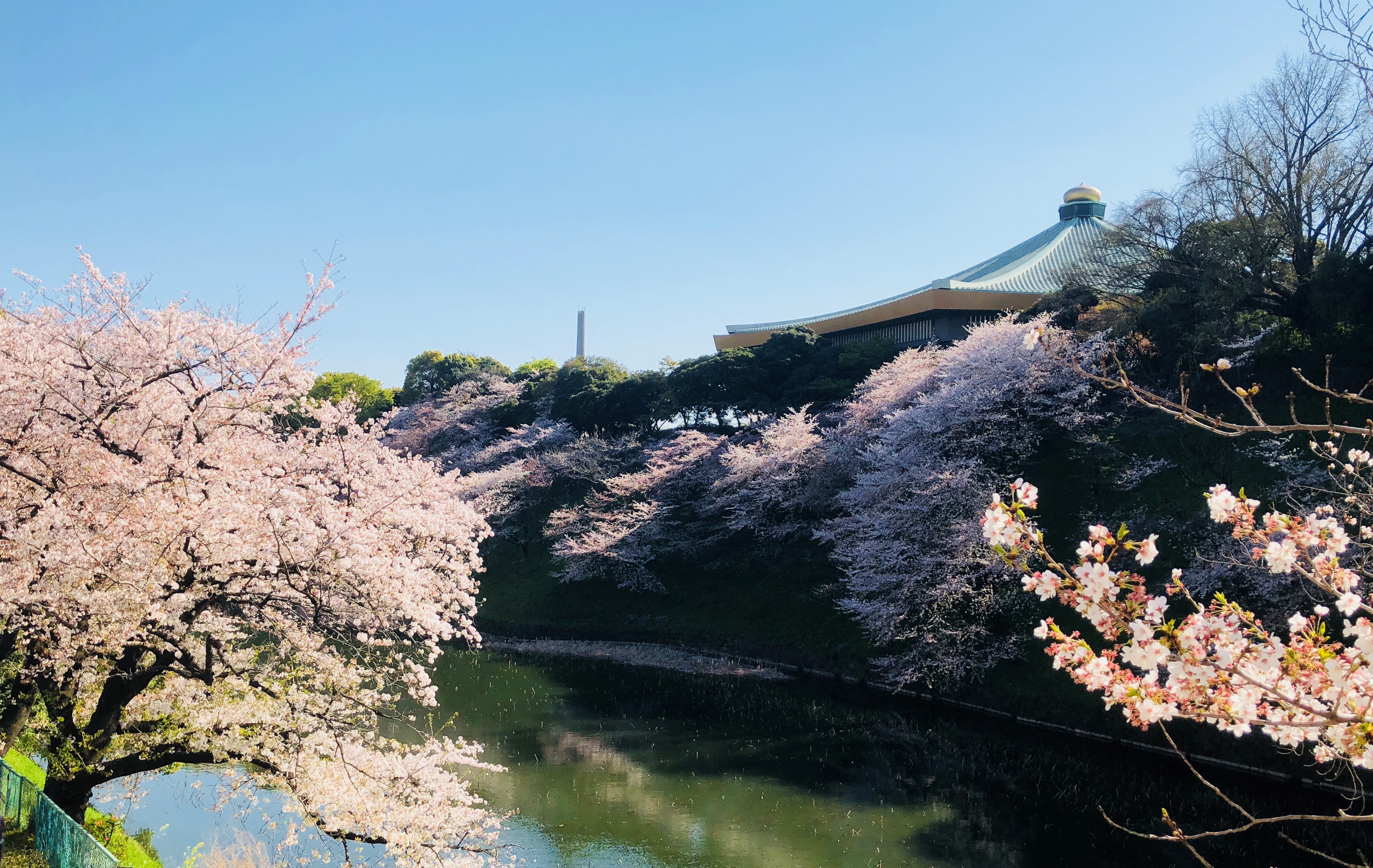 千代田さくら祭